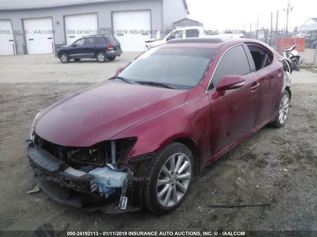 JTHCK262892031797 - 2009 LEXUS IS 250 RED photo 2