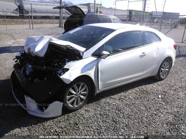 KNAFX6A88E5249280 - 2014 KIA FORTE EX WHITE photo 2