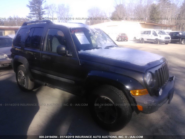 1J4GL38K06W257172 - 2006 JEEP LIBERTY RENEGADE GRAY photo 1