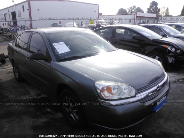 1G1ZT52835F315998 - 2005 CHEVROLET MALIBU LS ნაცრისფერი ფოტო 1