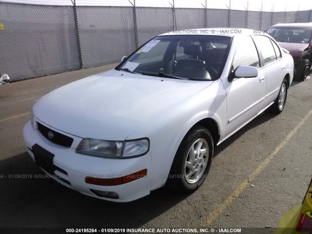 JN1CA21D8TT735550 - 1996 NISSAN MAXIMA GLE/GXE/SE WHITE photo 2