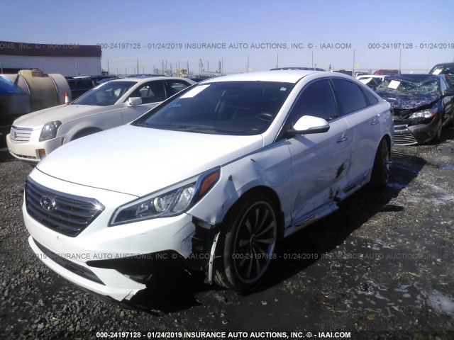 5NPE34AF2FH223448 - 2015 HYUNDAI SONATA SPORT/LIMITED WHITE photo 6