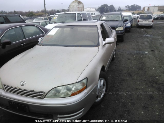 JT8GK13T3R0027080 - 1994 LEXUS ES 300 GREEN photo 2