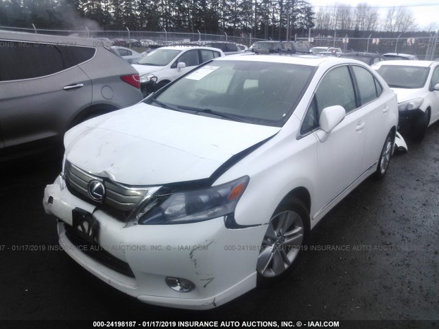 JTHBB1BA0A2006058 - 2010 LEXUS HS 250H WHITE photo 2