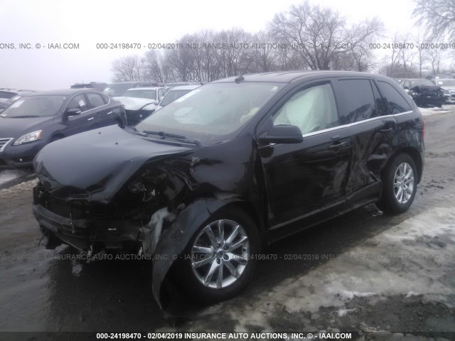 2FMDK3K94DBB06072 - 2013 FORD EDGE LIMITED BURGUNDY photo 2