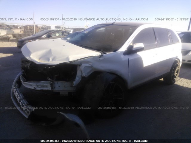 2FMDK3JC2DBA90239 - 2013 FORD EDGE SEL WHITE photo 2