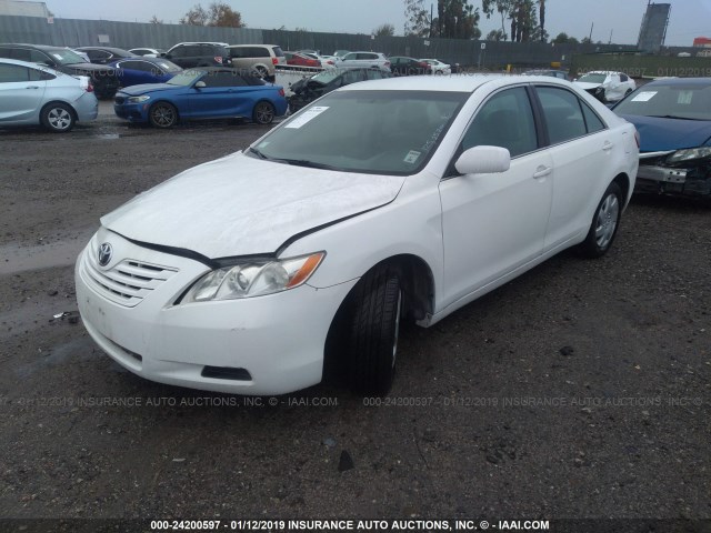 4T1BE46K48U779915 - 2008 TOYOTA CAMRY CE/LE/XLE/SE WHITE photo 2