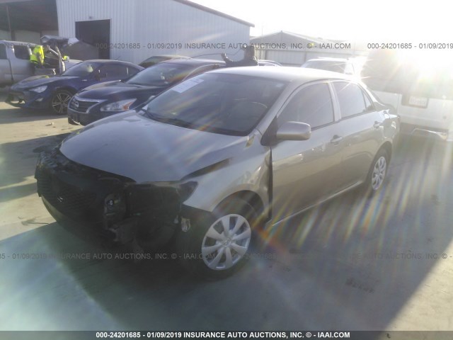 1NXBU40E89Z130285 - 2009 TOYOTA COROLLA S/LE/XLE GOLD photo 2