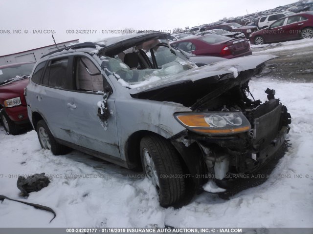 5NMSGDAB3AH355628 - 2010 HYUNDAI SANTA FE GLS SILVER photo 1