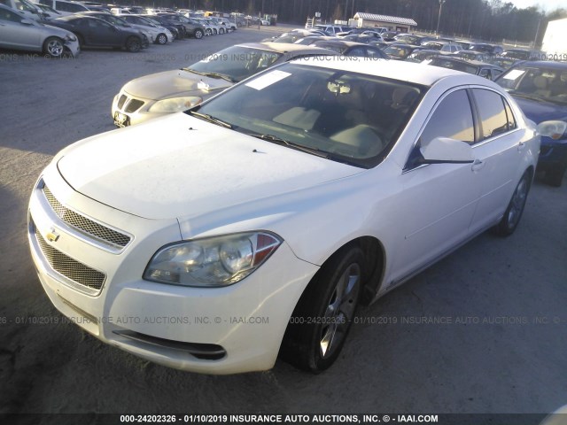 1G1ZC5E02AF119003 - 2010 CHEVROLET MALIBU 1LT 白色 照片 2