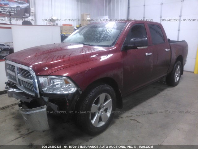 1C6RD7LT2CS155949 - 2012 DODGE RAM 1500 SLT RED photo 2