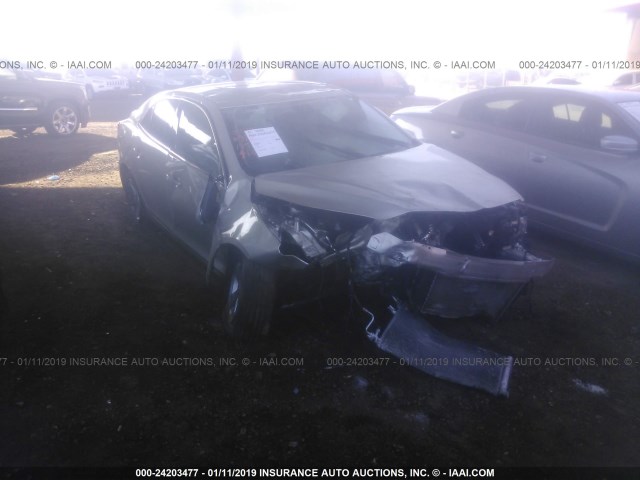 1G11C5SL0EF114853 - 2014 CHEVROLET MALIBU 1LT 金色 照片 1