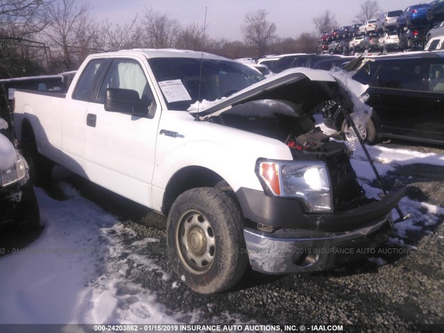 1FTFX1EF9EKF17799 - 2014 FORD F150 SUPER CAB WHITE photo 1