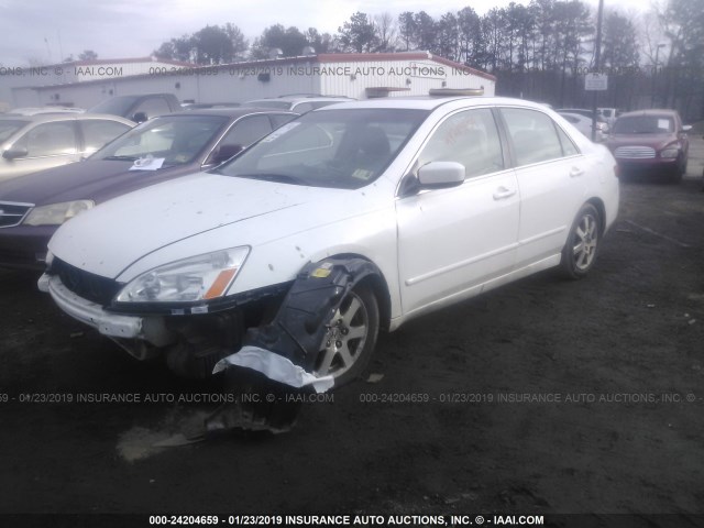 1HGCM66505A027547 - 2005 HONDA ACCORD EX WHITE photo 2