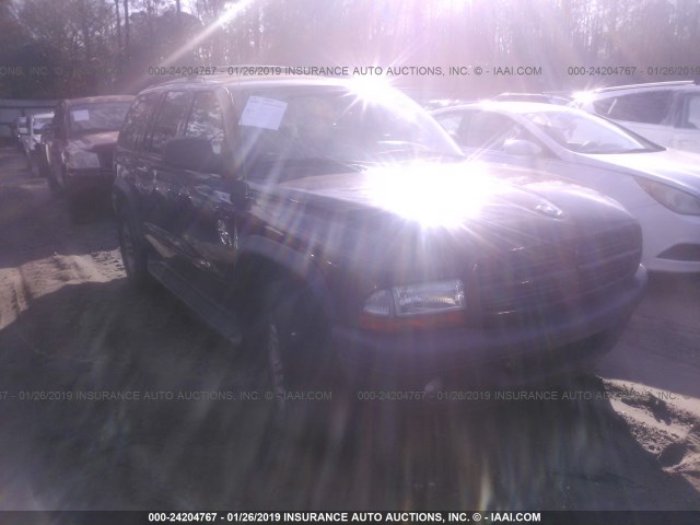 1D4HR38N73F615420 - 2003 DODGE DURANGO SPORT PURPLE photo 1