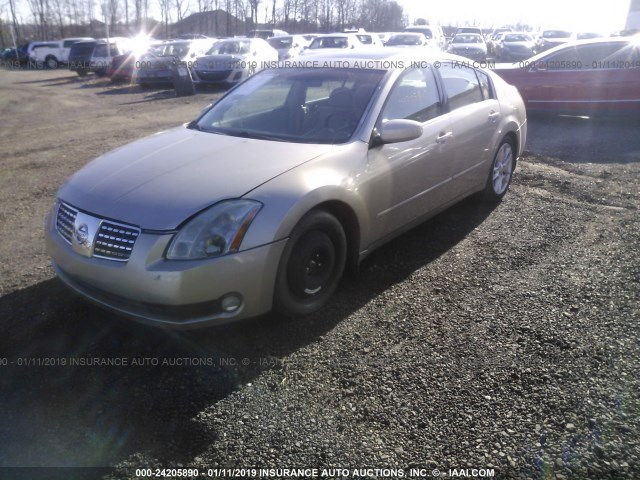 1N4BA41E26C832606 - 2006 NISSAN MAXIMA SE/SL TAN photo 2