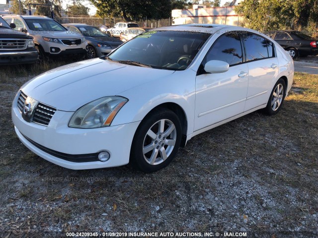 1N4BA41E76C861924 - 2006 NISSAN MAXIMA SE/SL WHITE photo 2