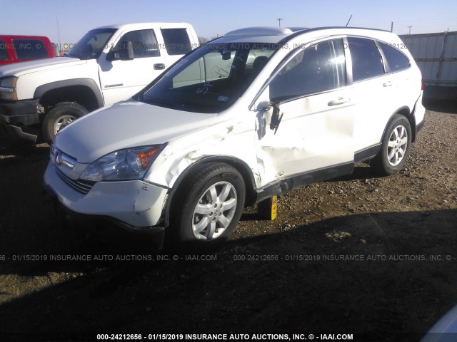 5J6RE38768L008880 - 2008 HONDA CR-V EXL WHITE photo 2