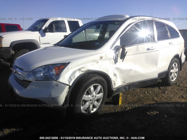 5J6RE38768L008880 - 2008 HONDA CR-V EXL WHITE photo 6