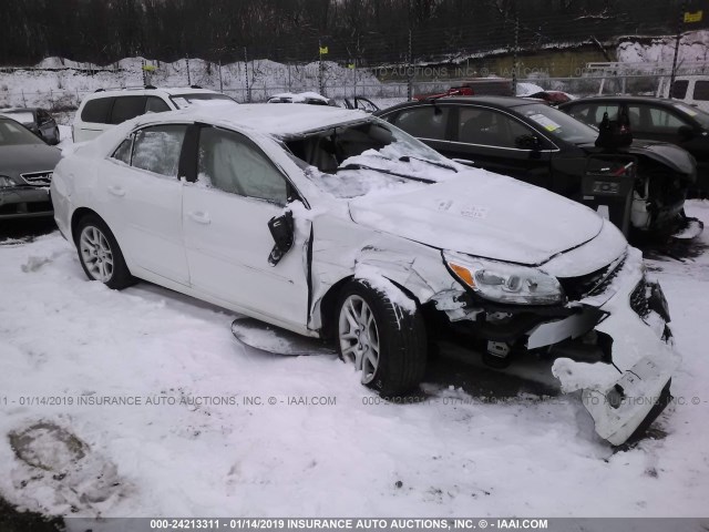 1G11C5SL1EF282811 - 2014 CHEVROLET MALIBU 1LT 白色 照片 1