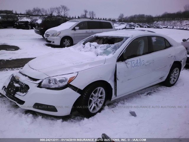 1G11C5SL1EF282811 - 2014 CHEVROLET MALIBU 1LT 白色 照片 2