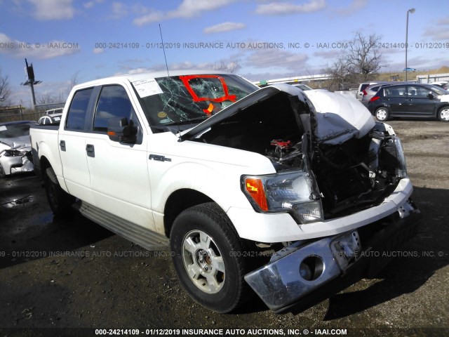 1FTFW1CV1AKE19003 - 2010 FORD F150 SUPERCREW WHITE photo 1