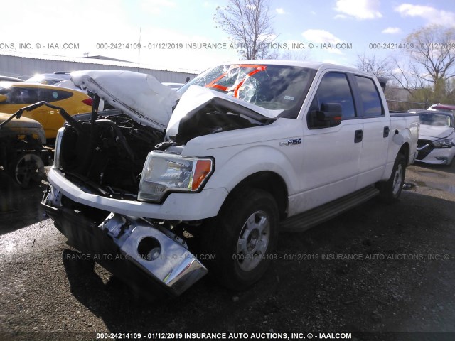 1FTFW1CV1AKE19003 - 2010 FORD F150 SUPERCREW WHITE photo 2