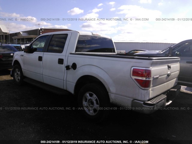 1FTFW1CV1AKE19003 - 2010 FORD F150 SUPERCREW WHITE photo 3