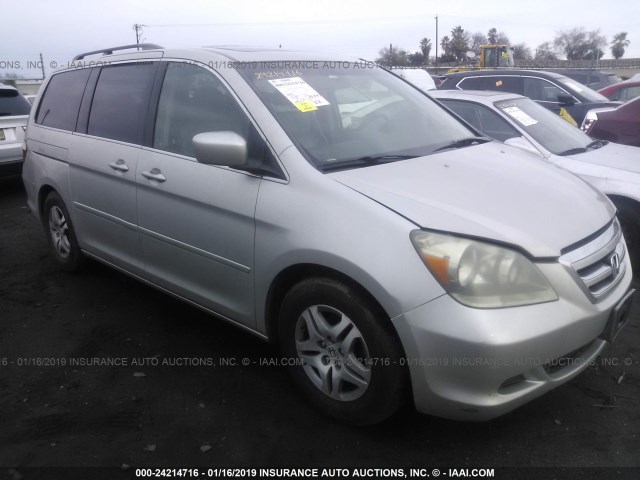 5FNRL38685B053577 - 2005 HONDA ODYSSEY EXL GRAY photo 1