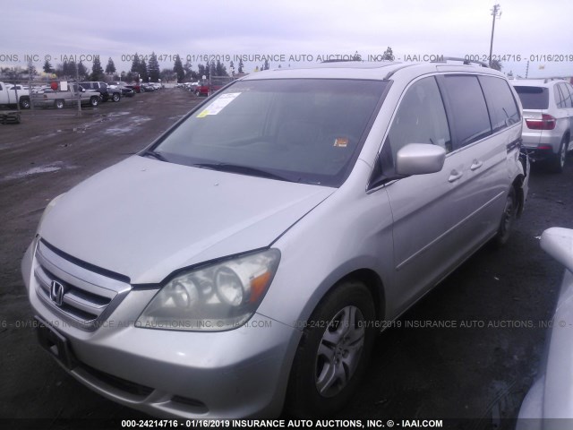 5FNRL38685B053577 - 2005 HONDA ODYSSEY EXL GRAY photo 2