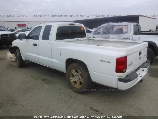 1D7RW3BK6BS679405 - 2011 DODGE DAKOTA SLT WHITE photo 3