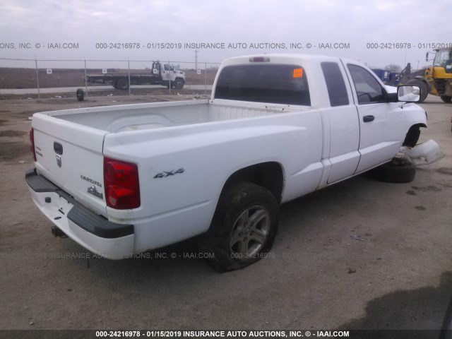 1D7RW3BK6BS679405 - 2011 DODGE DAKOTA SLT WHITE photo 4