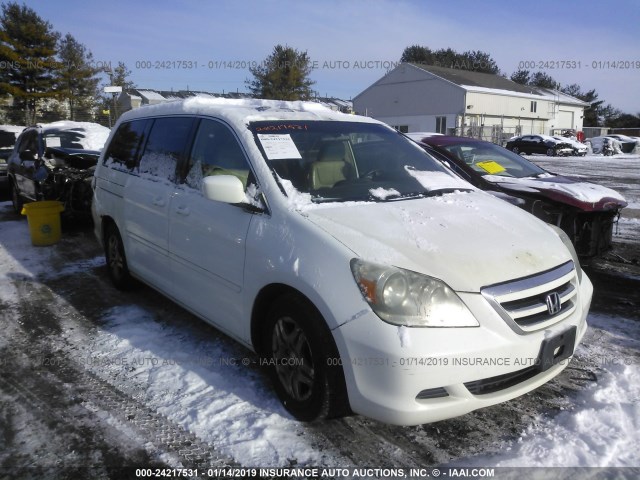 5FNRL38795B017454 - 2005 HONDA ODYSSEY EXL WHITE photo 1