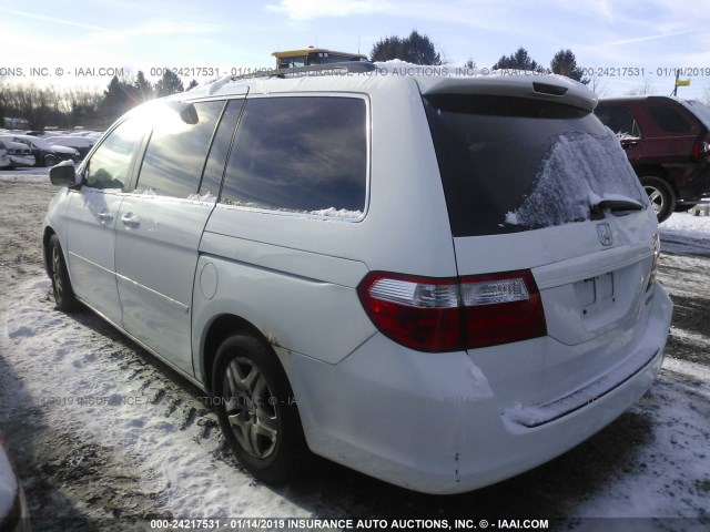 5FNRL38795B017454 - 2005 HONDA ODYSSEY EXL WHITE photo 3