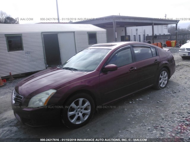 1N4BA41E87C810336 - 2007 NISSAN MAXIMA SE/SL BURGUNDY photo 2