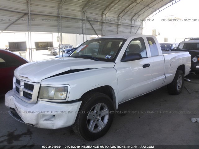 1D7CE3BK9AS139912 - 2010 DODGE DAKOTA SXT WHITE photo 2