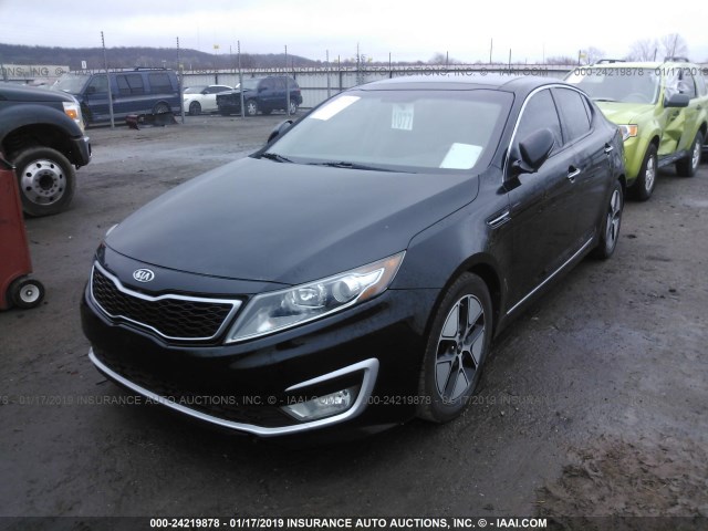 KNAGM4AD4C5009123 - 2012 KIA OPTIMA HYBRID BLACK photo 2