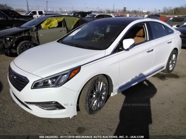 5NPE34AF4FH088814 - 2015 HYUNDAI SONATA SPORT/LIMITED WHITE photo 2