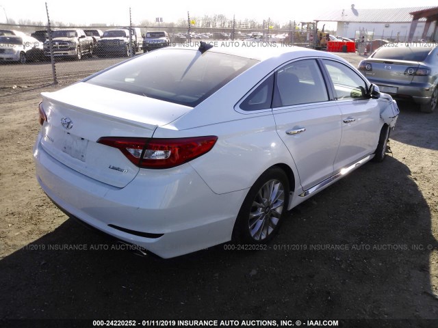 5NPE34AF4FH088814 - 2015 HYUNDAI SONATA SPORT/LIMITED WHITE photo 4