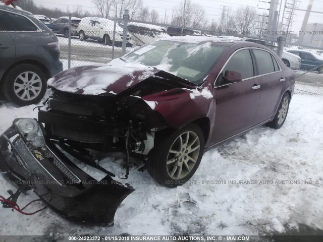 1G1ZK57789F259937 - 2009 CHEVROLET MALIBU LTZ მუქწითელი ფოტო 2