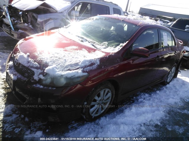 2T1BU40E59C048645 - 2009 TOYOTA COROLLA S/LE/XLE RED photo 2