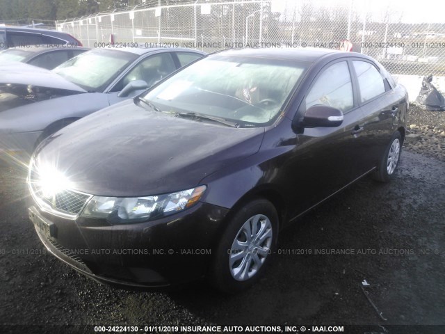 KNAFU4A26A5175148 - 2010 KIA FORTE EX MAROON photo 2