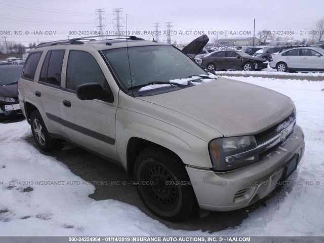 1GNDT13S652179806 - 2005 CHEVROLET TRAILBLAZER LS/LT GOLD photo 1