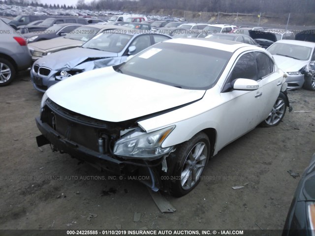 1N4AA5AP8AC823792 - 2010 NISSAN MAXIMA S/SV WHITE photo 2