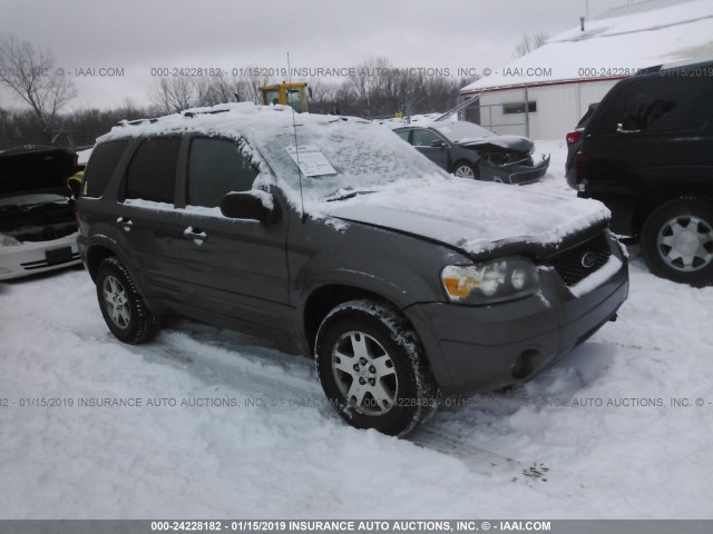 1FMYU04115KB15272 - 2005 FORD ESCAPE LIMITED GRAY photo 1