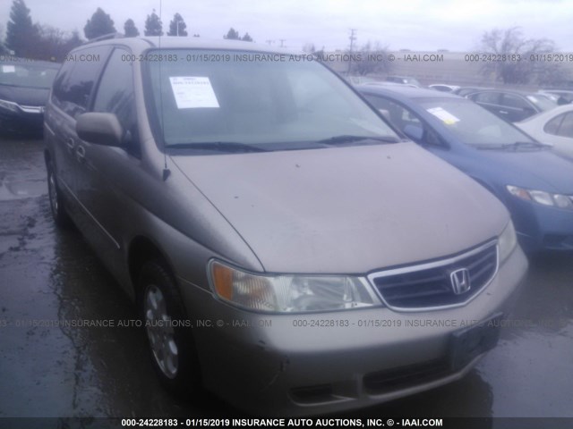 5FNRL18783B143080 - 2003 HONDA ODYSSEY EXL GOLD photo 1