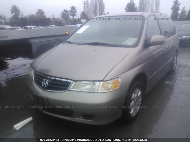 5FNRL18783B143080 - 2003 HONDA ODYSSEY EXL GOLD photo 2