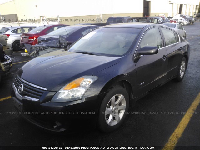 1N4CL21E09C142425 - 2009 NISSAN ALTIMA HYBRID BLACK photo 2