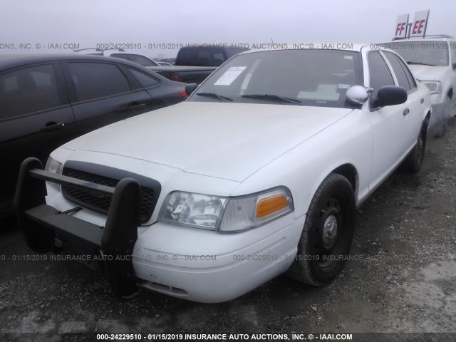 2FABP7BV3AX100950 - 2010 FORD CROWN VICTORIA POLICE INTERCEPTOR WHITE photo 2