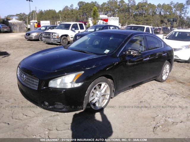 1N4AA5AP1AC827229 - 2010 NISSAN MAXIMA S/SV PURPLE photo 2